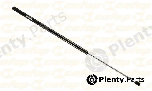 Cofap 16061 — Gas Spring, door