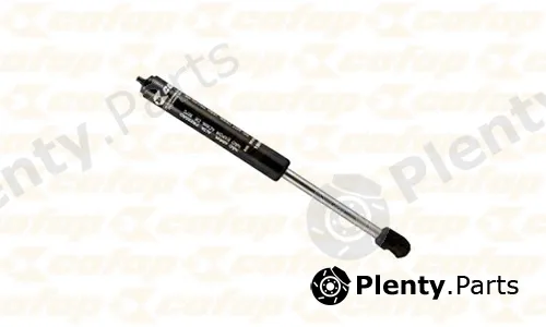 Cofap 19060 — Gas Spring, door
