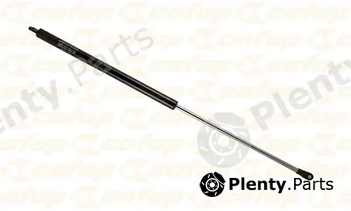 Cofap 19035 — Gas Spring, front panel