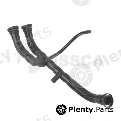 Hose, crankcase ventilation