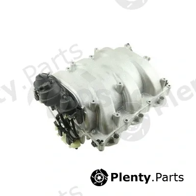 Intake Manifold Module