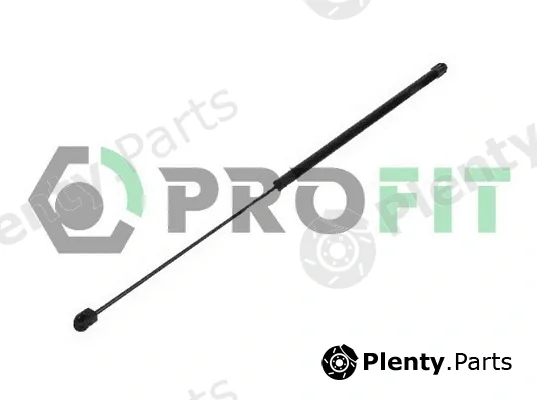Profit 2015-0142 — Gas Spring, boot/cargo area