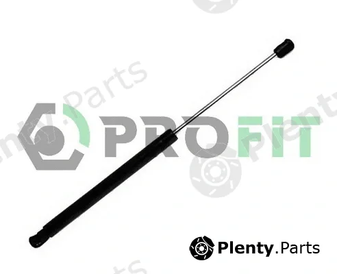 Profit 2015-0118 — Gas Spring, boot/cargo area