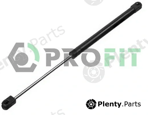 Profit 2015-0010 — Gas Spring, boot/cargo area