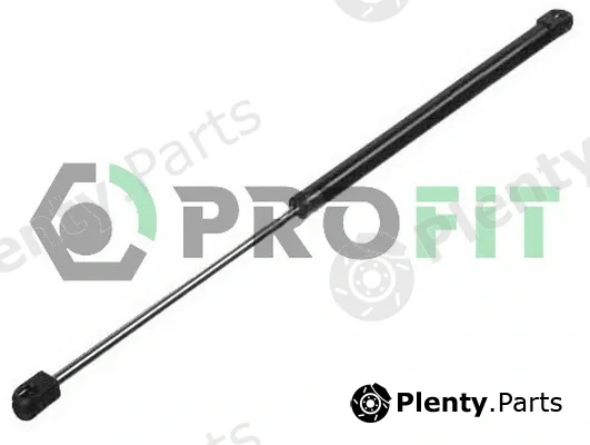 Profit 2015-0016 — Gas Spring, boot/cargo area