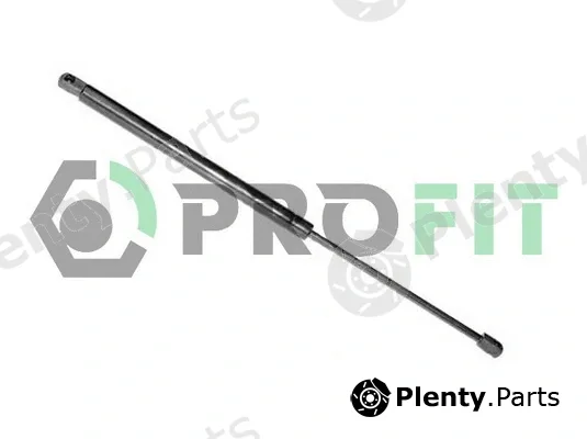 Profit 2015-0121 — Gas Spring, boot/cargo area