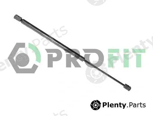 Profit 2015-0115 — Gas Spring, boot/cargo area