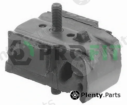 Profit 1015-0306 — Mounting, engine