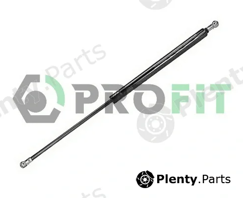 Profit 2015-0116 — Gas Spring, boot/cargo area