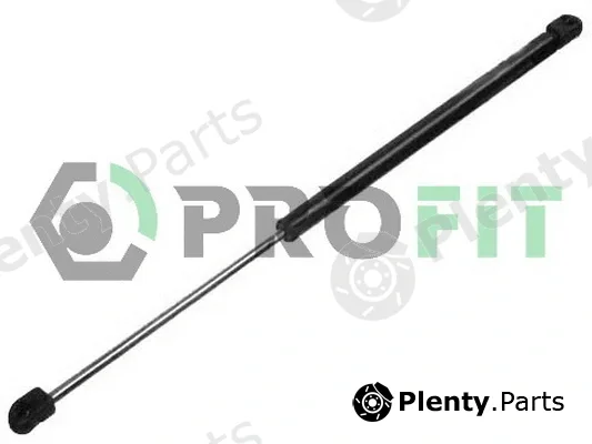 Profit 2015-0068 — Gas Spring, boot/cargo area