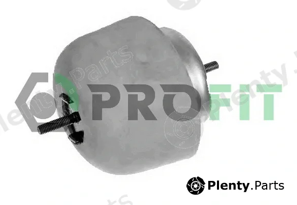 Profit 1015-0235 — Mounting, engine
