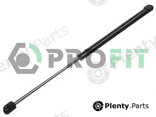Profit 2015-0015 — Gas Spring, boot/cargo area