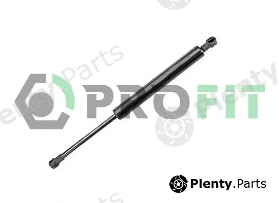 Profit 2015-0148 — Gas Spring, boot/cargo area