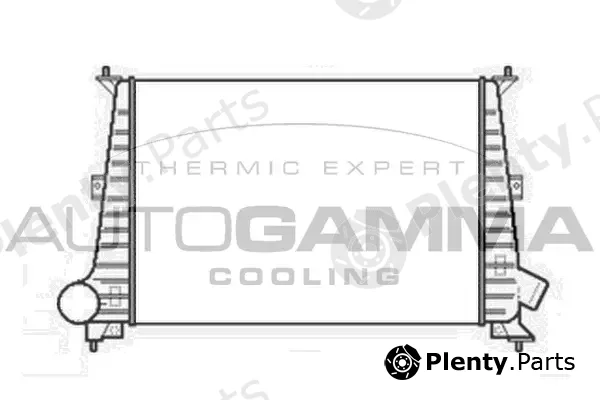 Autogamma 101503 — Charge Air Cooler