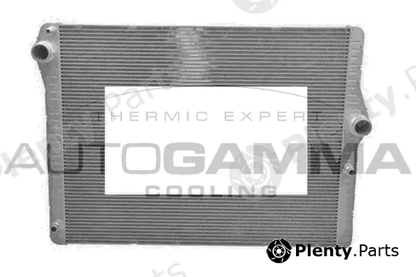 Autogamma 107409 — Radiator, engine cooling