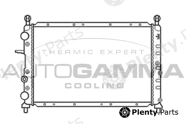 Autogamma 100013 — Radiator, engine cooling