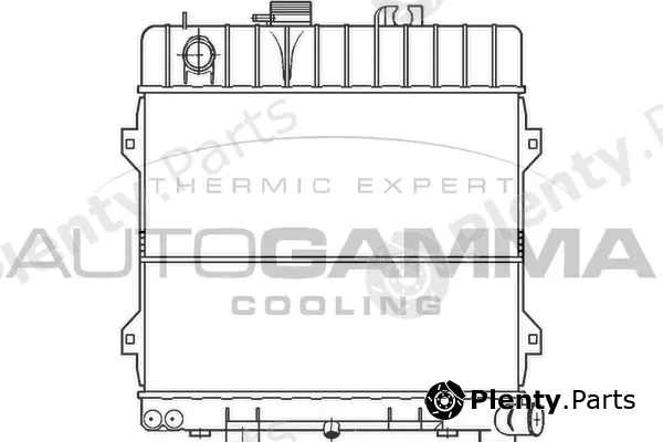 Autogamma 100113 — Radiator, engine cooling