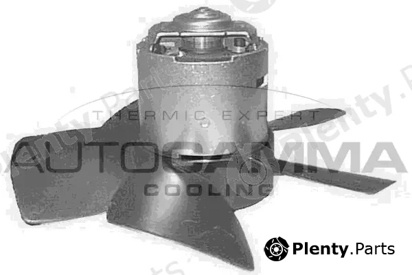 Autogamma GA20142 — Interior Blower
