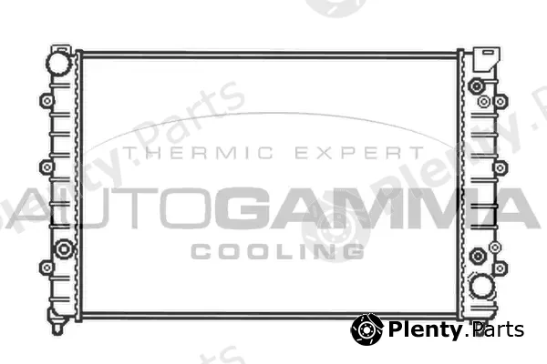 Autogamma 102893 — Radiator, engine cooling