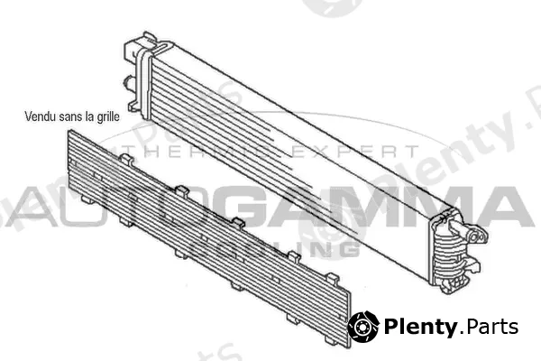 Autogamma 107565 — Radiator, engine cooling