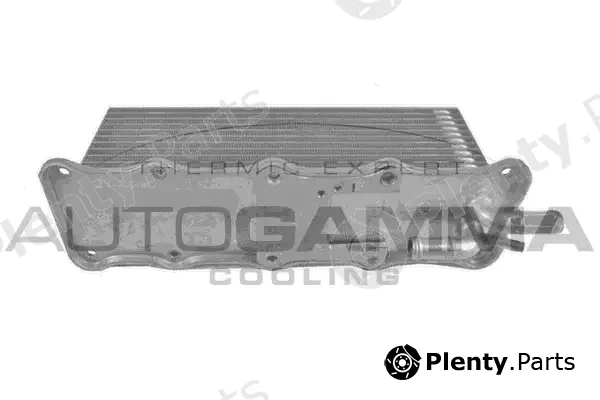 Autogamma 107772 — Charge Air Cooler
