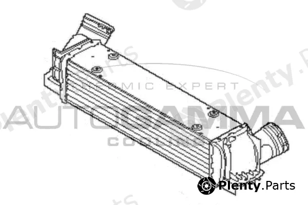 Autogamma 107334 — Charge Air Cooler