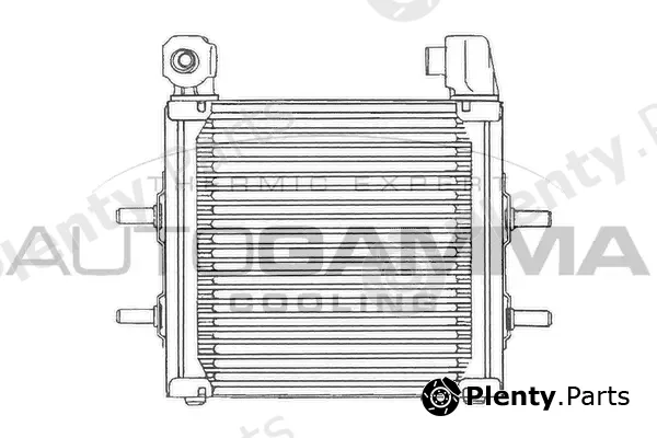 Autogamma 101521 — Oil Cooler, engine oil