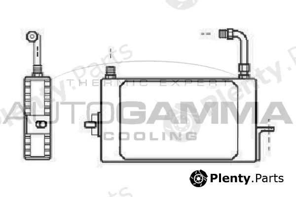 Autogamma 101920 — Oil Cooler, engine oil