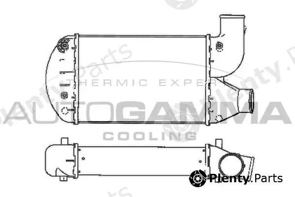 Autogamma 101912 — Charge Air Cooler