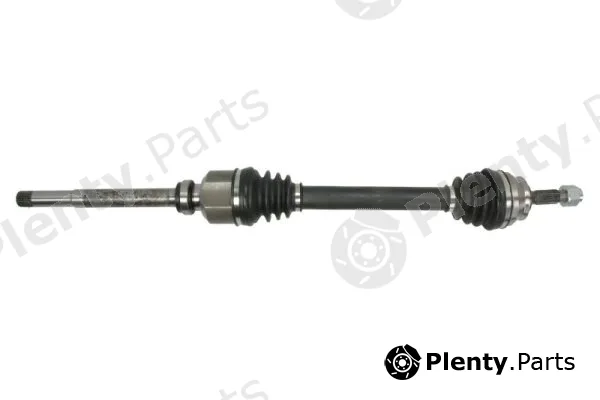 Pascal G2C125PC — Drive Shaft