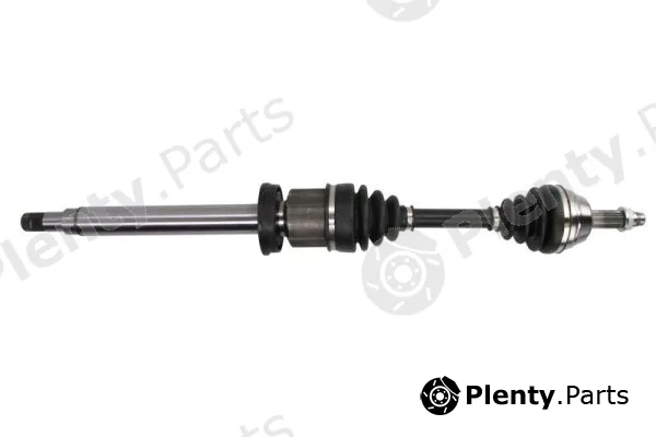 Pascal G2G019PC — Drive Shaft