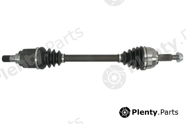 Pascal G2R193PC — Drive Shaft