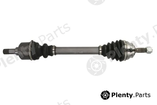 Pascal G2C161PC — Drive Shaft