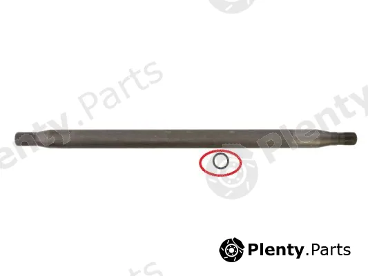 Pascal SALE-G8M003PC — Stub Axle, differential