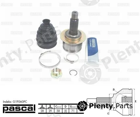 Pascal G1F060PC — Joint Kit, drive shaft