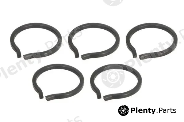 Pascal CIRG1001PC — Lock Washer, differential drive flange fastening