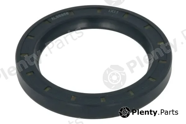 BTA B05-AG-300 — Gasket, differential