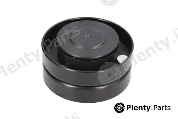 BTA B05-AG-079 — Deflection/Guide Pulley, V-belt