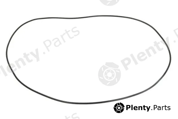 BTA B05-AG-308 — Repair Kit, differential
