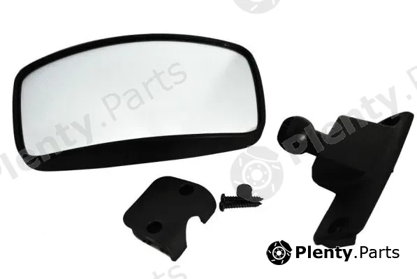Pacol DAF-MR-001 — Ramp Mirror