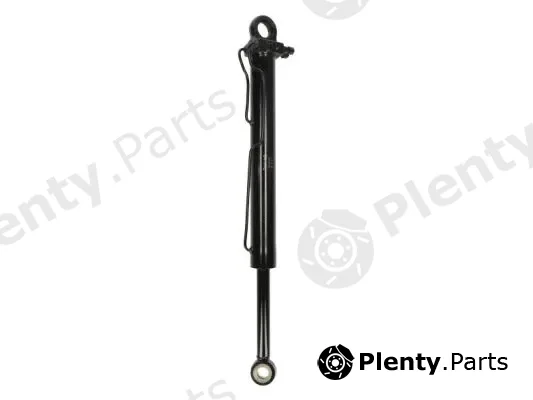 S-TR TEQ-03.005 — Tilt Cylinder, driver cab