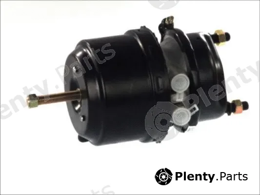 SBP 05-BCT14/24-G10 — Pretensioning Cylinder