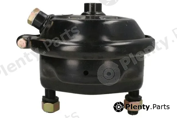 SBP 05-BCT14-W01 — Pretensioning Cylinder