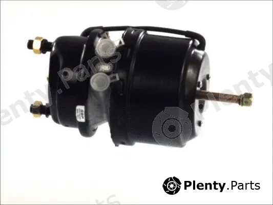 SBP 05-BCT14/24-G09 — Pretensioning Cylinder