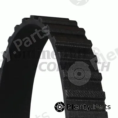 Continental Ctam Br CT961 — Timing Belt