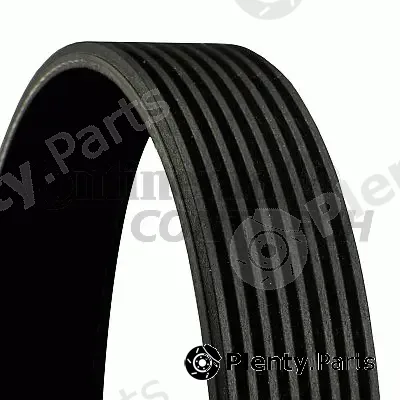 Continental Ctam Br 8PK1376 — V-Ribbed Belt