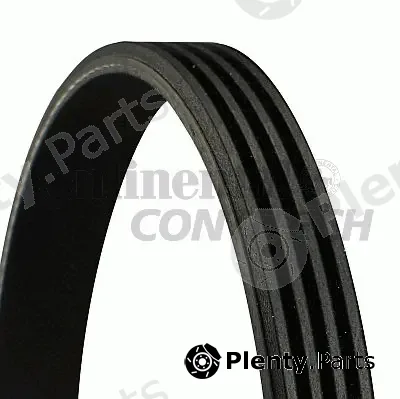 Continental Ctam Br 4PK1000 — V-Ribbed Belt