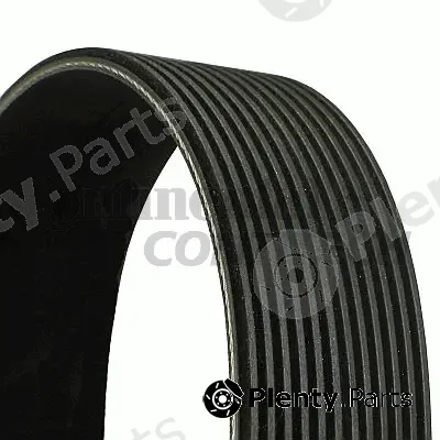 Continental Ctam Br 12PK1830 — V-Ribbed Belt