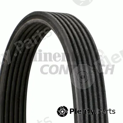 Continental Ctam Br 6DPK1225 — V-Ribbed Belt