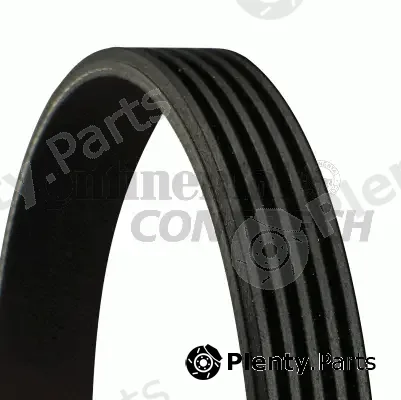 Continental Ctam Br 5PK1270 — V-Ribbed Belt